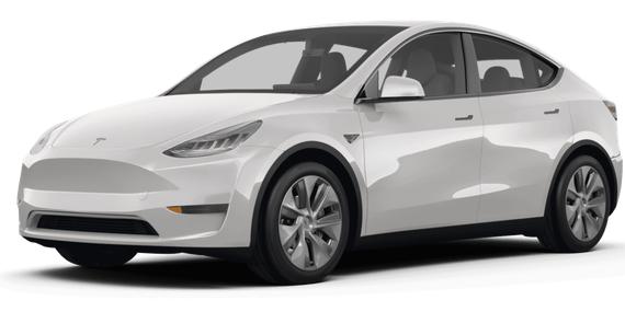 TESLA MODEL Y 2023 7SAYGDED7PF969794 image